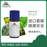 在飛比找松果購物優惠-法國進口diy香水手工皂香薰原材料薄荷/西番蓮/絲柏/瘉創木