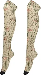 [Caihoyu] Thigh Socks for Women Fashionable Long Thigh High Socks Stockings Thigh High for Halloween Bird Paradise Organic Pattern Latin, Bird Paradise Organic Pattern Latin