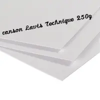 在飛比找蝦皮購物優惠-法國 canson Lavis Technique 250g