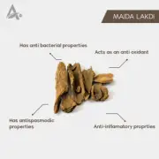 MAIDA LAKDI – MAIDA WOOD – LITSEA GLUTINOSA