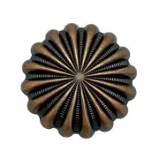 4 Pack Copper Daisy Screw Back Conchos - 1"