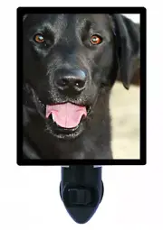 Labrador Retriever Decorative Photo Night Light, Black Lab, Dogs