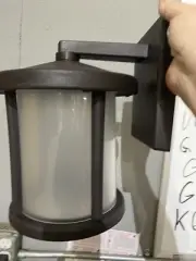 Exterior Wall Lamp W/ Frosted Diffuser Bronze Model # 145001 Home Depot,8 !!!