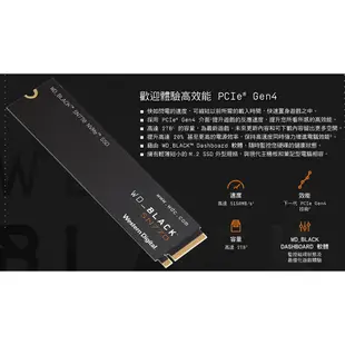 WD 黑標 SN770 500GB 500G 1TB 1T NVMe M.2 PCIe SSD