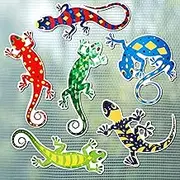 Konohan 12 Pcs Gecko Screen Door Magnets Double Sided Window Flexible Lanai Screen Magnets for Patio Sliding Protector
