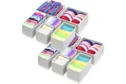 STORFEX Houseware Foldable Cloth Storage Box (Set of 12)