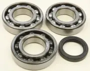 All Balls Crankshaft Bearing Kit for Polaris Sportsman 500 02