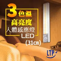 在飛比找momo購物網優惠-【LTP】三色調光磁吸USB充電式LED感應照明燈(31CM