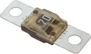 Bussmann MIDI/AMI Fuses 70 Amp, Marine (2 Each)
