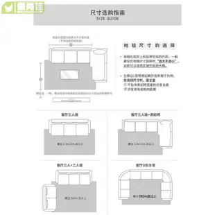 大尺寸200*300cm新款北歐ins風格滿鋪臥室客廳茶几毯沙發床邊地毯現代簡約家用進門毯