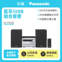 在飛比找有閑購物優惠-【記峰 Panasonic】藍牙/USB組合音響 SC-PM