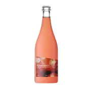 Deeds Brewing Plutocracy Barrel Aged Mixed Culture Ale with Pluots 750ml Bottle