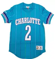 Men's Mitchell & Ness NBA Charlotte Hornets 1992 Larry Johnson Hi-Res Blue Mesh