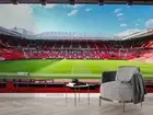 3D Football Field Self-adhesive Removeable Wallpaper Wall Mural 187