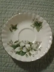Royal Albert New Trillium Bone China 5.5" Saucer