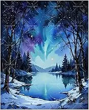 Winter Landscape Paint by Numbers Kit for Adults - DIY Northern Lights Over Snowy Lake Painting on Canvas 16x20 Inches, Acrylic Paint Set,Suitable for Beginners,Art for Home Decoration/Gifts