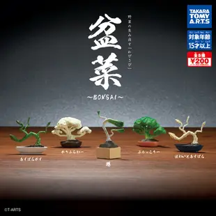 全套5款 盆菜 扭蛋 轉蛋 植物 蔬菜 青菜 迷你盆栽 迷你花椰菜 迷你白蘆筍【067600】 (4.2折)