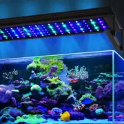 Saltwater Aquarium Light, Abeststudio Upgraded 70W LED Full Spectrum Marine Aquarium Light with Timer for Saltwater Coral Reef SPS/LPS Growth Fish Tank Light