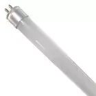 REPLACEMENT LED GLOBE 8 Watt for Bug Zapper