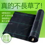 【限時特價】新型特級料防草布 除草布 抑草佈 耐用抗老化 園藝 果園透氣遮草 雜草抑制蓆蓋草布 抑草布