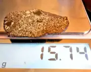 15.74 gram VACA MUERTA METEORITE - mesosiderite slice, polished specimen