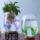 客廳魚缸玻璃創意圓形水培透明中型辦公室桌面小型迷你小魚缸廠家