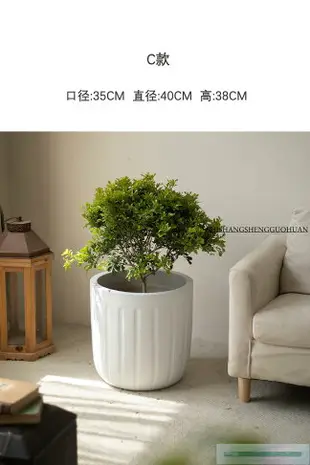 現代簡約綠植北歐花盆陶瓷花瓶室內植物高級感白色水培陶罐大口徑