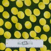 Quilting Patchwork Fabric TENNIS BALLS Sports 50x50cm FQ