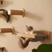 3Pcs Wall-Mounted Cat Hammock Set with Sisal Stairways & Scratching Posts