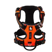 Comfortable Breathable Pet Harness Dog Supplies Led Lights Harnesses