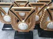 10 x 160mm Netball Trophies Discontinued Range. Other Quantities also available