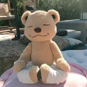 Flexible Shapeable Yoga Pose Bear Cute Bear Soft Plush Toy
