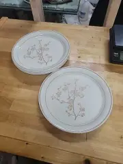 NEW Corelle Dinner Plate 10 1/4” Corning Corner StoneCHINA BLOSSOM