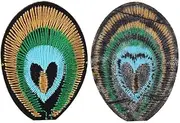 12pcs Peacock Feathers Embroidered Patches DIY Crafts Set Clothes Bags Hats
