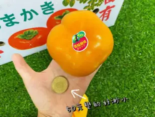 臺灣大雪山 農友-阿財伯  高山中高海拔大甜柿  9A 六粒裝禮盒