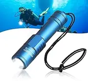 ORCATORCH D520 Scuba Dive Light 1000 Lumens Compact Diving Flashlight IP68 Waterproof Night Dive Torch Submarine Diving Lights with Rotary Switch for Underwater 150 Meters Deep Sea Diving (Blue)