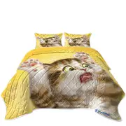 Funny Cats for Kids the Panic Attack Kitty Coverlet
