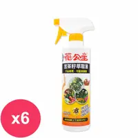 在飛比找e-Payless百利市購物中心優惠-花公主 苦茶籽萃取液 500ml*6瓶