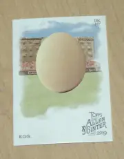 2019 Topps Allen Ginter Instagram EGG #213