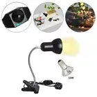 Heat Light Bulb UVA+UVB Tortoise Turtle Holder Lamp Clip Device Reptile Dimmable