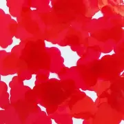 Sequin 24 x 40mm Shape Cloud Vinyl Go Go Trans Raspberry. Made in USA