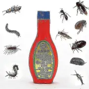 Shenyangshixiyangdianzishangwuyouxiangongsi Vendor 2pcs Insecticide Powder To Kill Fleas And Lice Powder Cockroach Medicine Bed Bug Medicine Cockro...