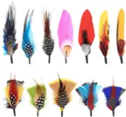 Hat Feathers, 12 Pcs Natural Feathers, Mixed Assorted Cowboy Hats Feathers, Craf