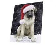 Let it Snow Christmas Anatolian Shepherds Dog Woven Throw Sherpa Blanket T343