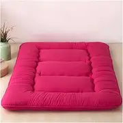 Japanese Futon Tatami Mat Sleeping Mat Floor Futon Mattress Japanese Bed Mat Sleeping Mattress for Floor Roll Up Bed (Color : C, Size : Full)