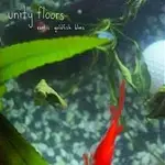 Exotic Goldfish Blues