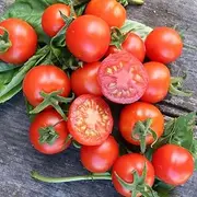 Tomato Tommy Toe 30 Seeds Vegetable Garden Non GMO Open polinated