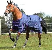 Gallop Lite-Weight Trojan Standard Neck Turnout Rug - Navy/Purple