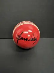 Shane Warne Hand Signed Cricket Ball - Spin Legend Bradman Baggy Green Ashes