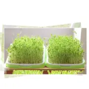 Easy to Use For Grain Sprouter Germination Tray with Free Nursery Tray